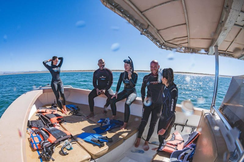 Buceo en el Mar de Cortés